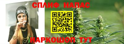 spice Коммунар