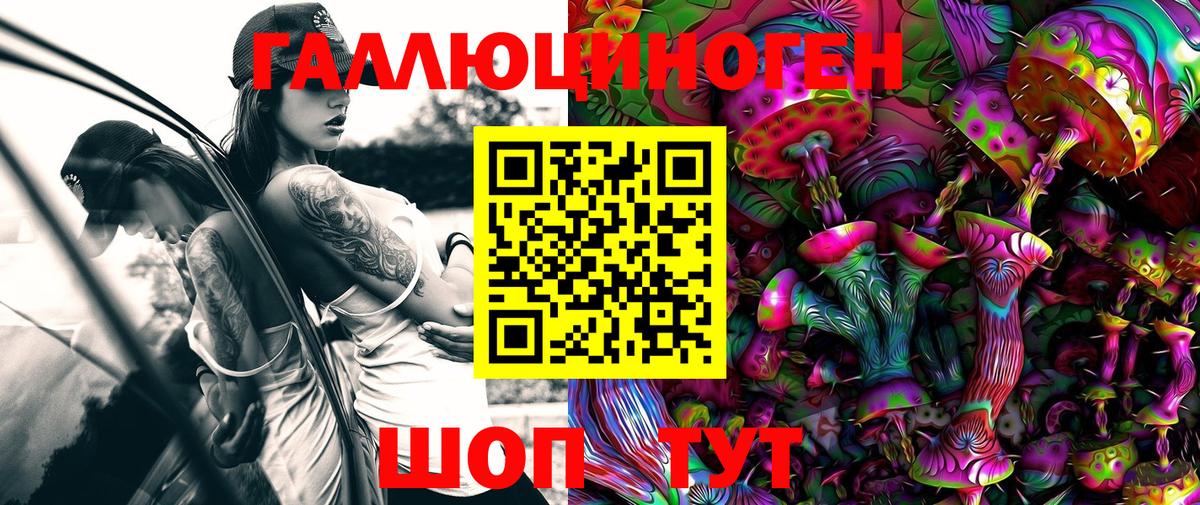 Галлюциногенные грибы Psilocybine cubensis Усолье-Сибирское