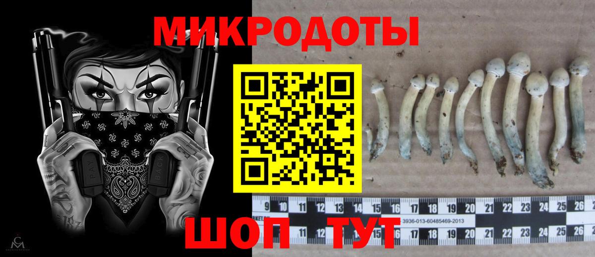 Галлюциногенные грибы MAGIC MUSHROOMS  Вход с VPN  Усолье-Сибирское  Галлюциногенные грибы Cubensis 